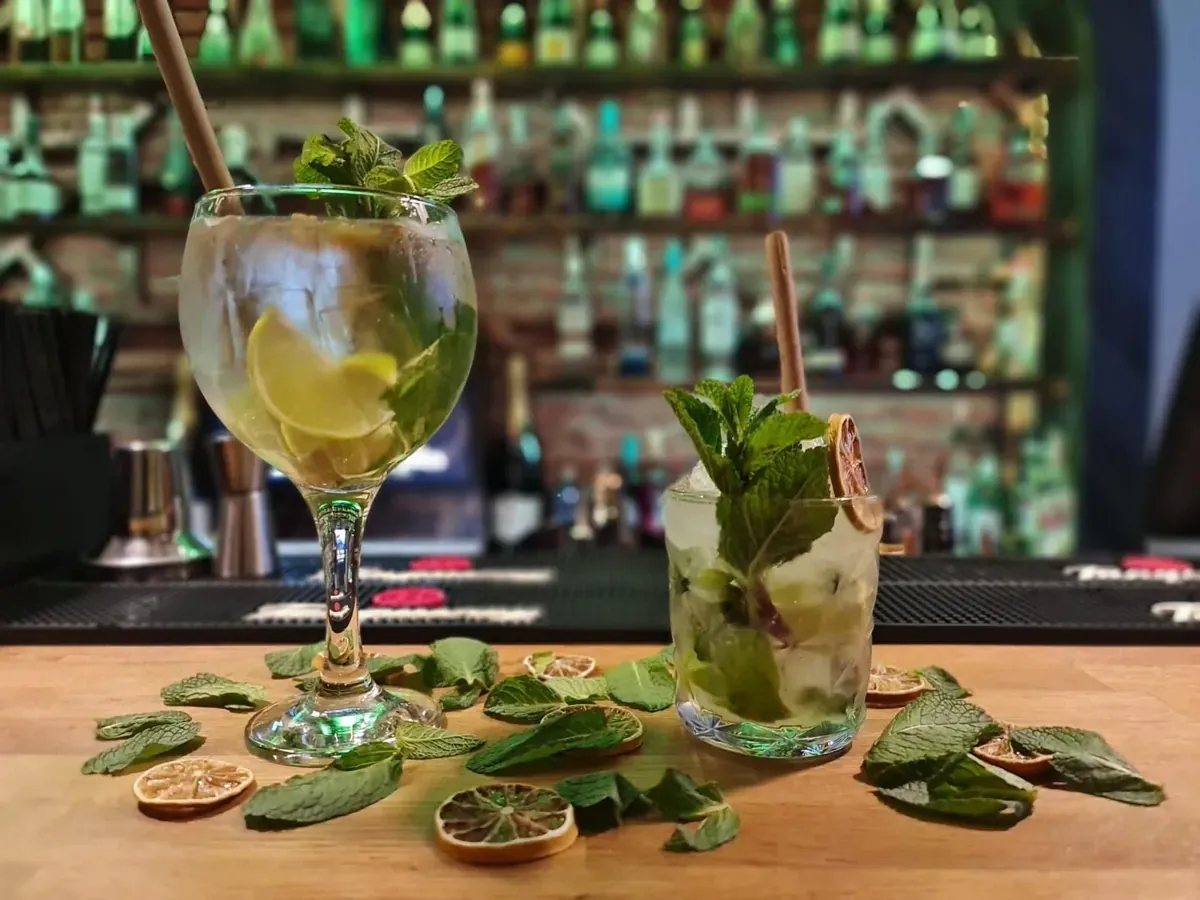 Gin tonic and mojito, with mint and dried lime