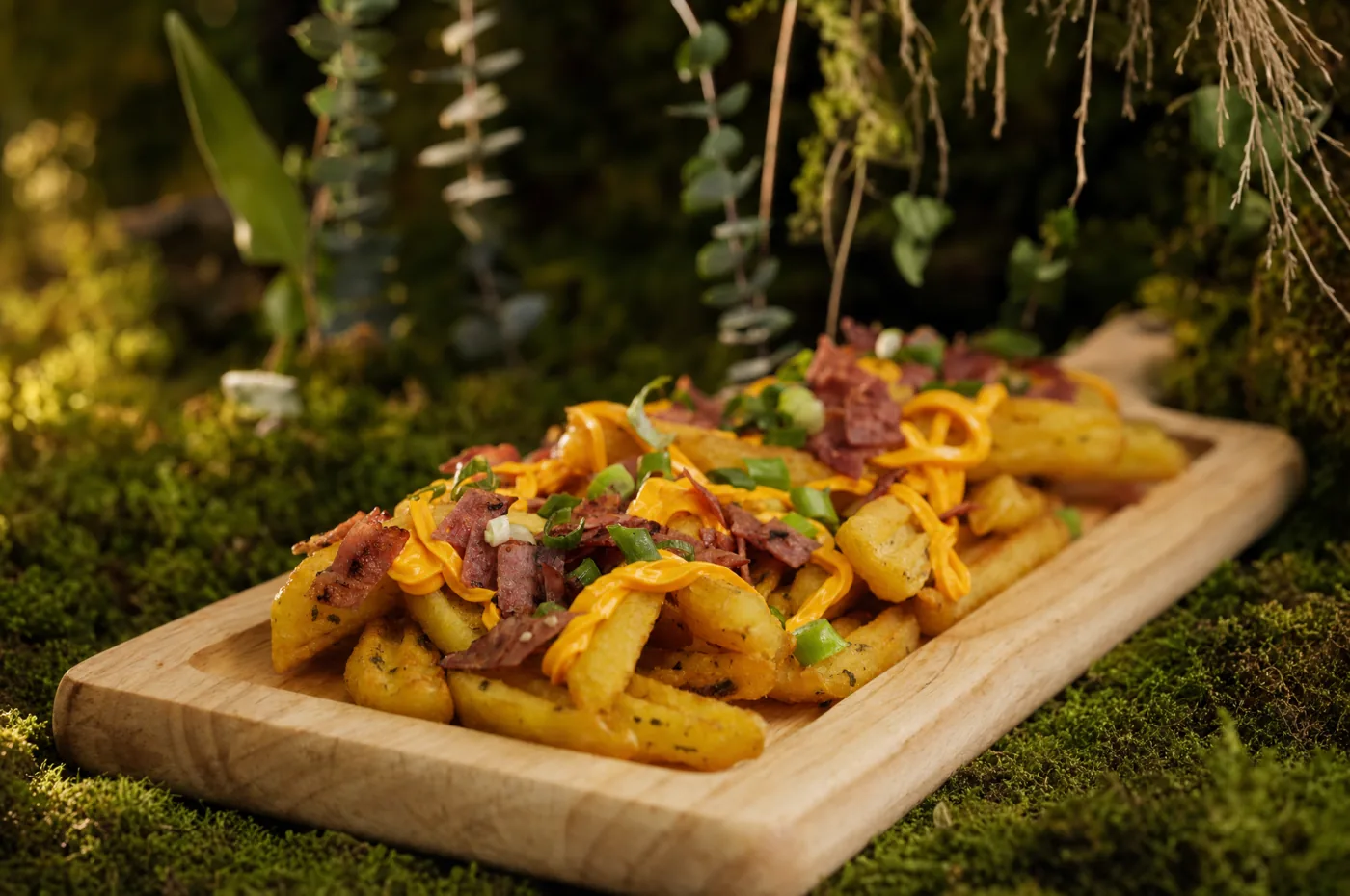 Cheddar bacon fries