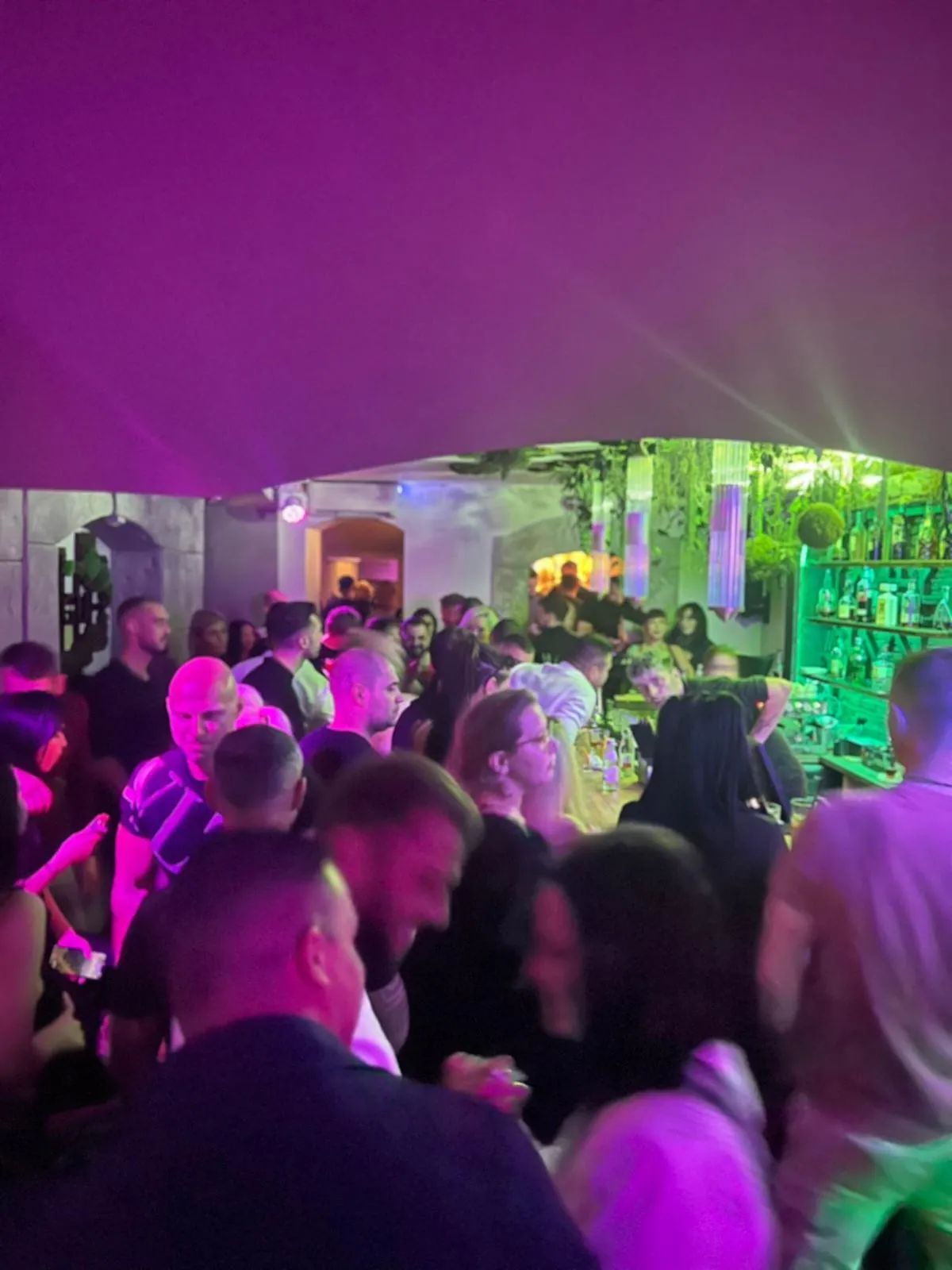 Party under the moss ceiling